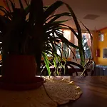 فندق مبيت وإفطار Casa Per Ferie Raggio Di Sole